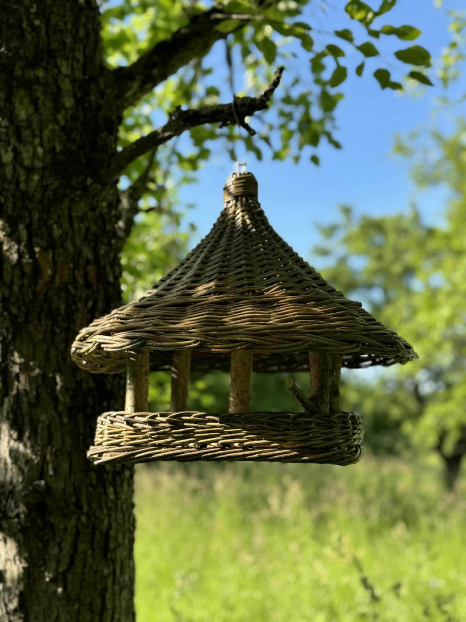 Bird Feeders