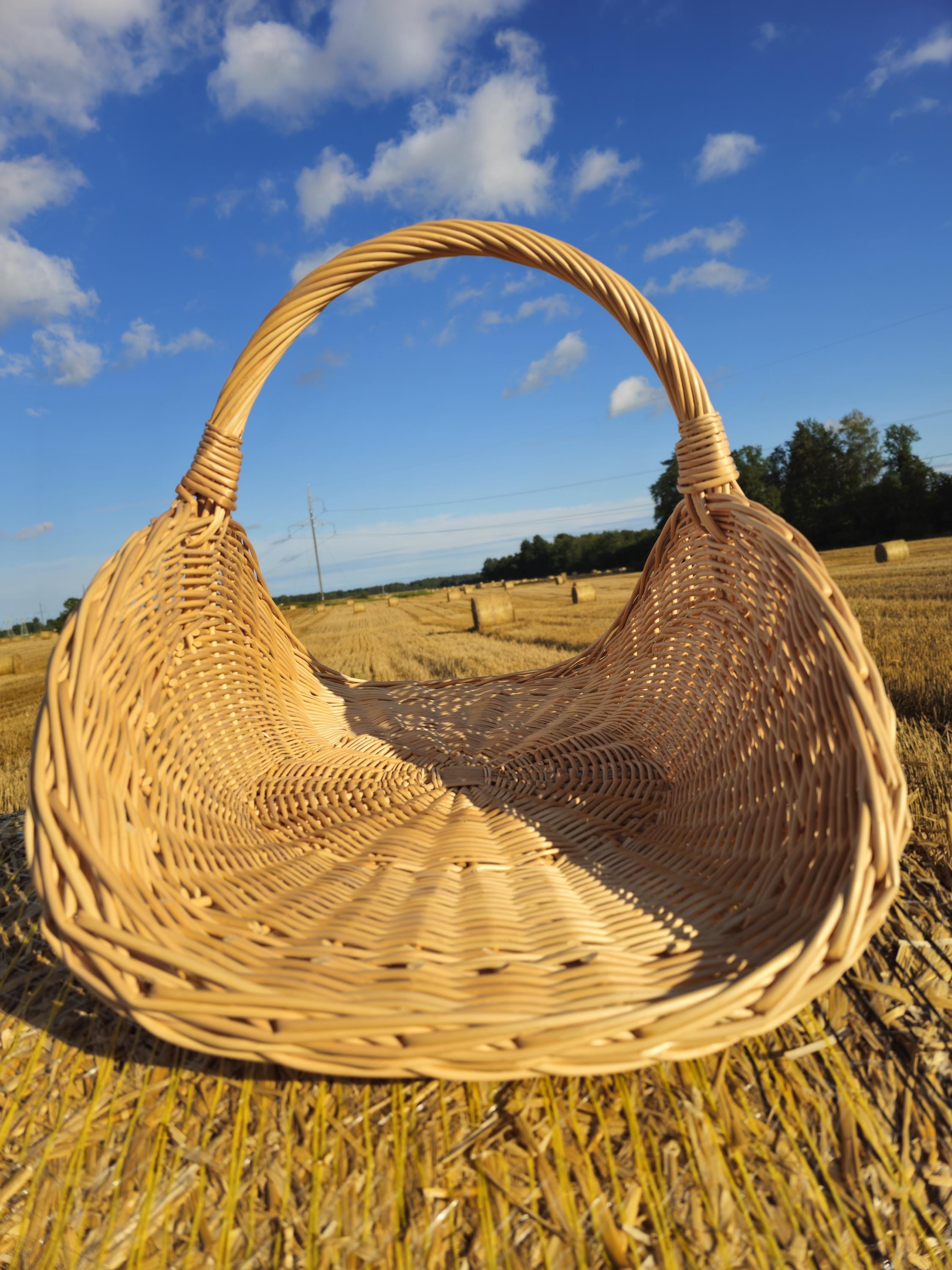 Flower Baskets
