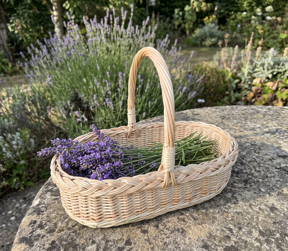 Wicker flower gathering trug with a tall handle holding freshly cut lavender on a stone garden table beside lavender bushes