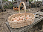 Willow egg gathering trug with handle filled with fresh hen eggs on a wooden bench in a farmyard with chickens behind