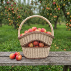 Handwoven willow apple basket with an arched handle and open-work front, filled with fresh apples on a bench in an orchard