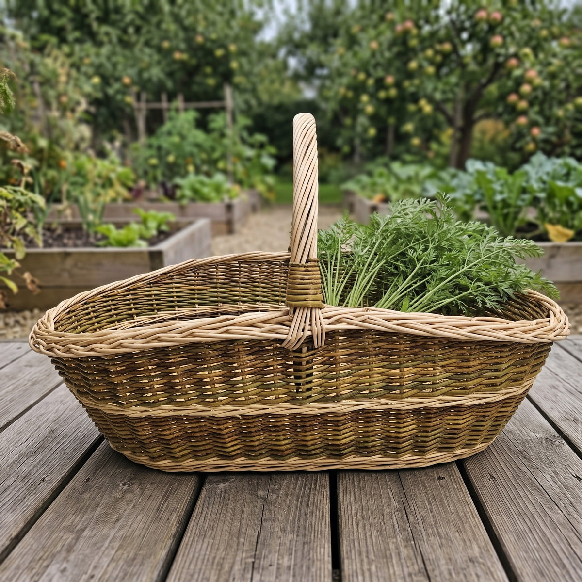 Large wicker garden trug with a long boat-shaped body and central handle, holding freshly picked carrots on a wooden deck by raised vegetable beds.