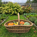 Wicker harvest basket with an arched handle filled with pumpkins, squash and cabbage, set on the grass in a vegetable garden by hydrangeas.