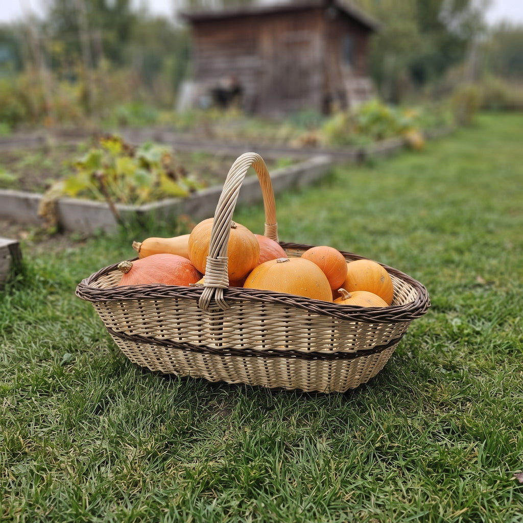 Extra large willow garden trug with handle full of pumpkins and squash on the grass beside raised vegetable beds