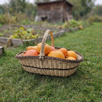 Extra large willow garden trug with handle full of pumpkins and squash on the grass beside raised vegetable beds