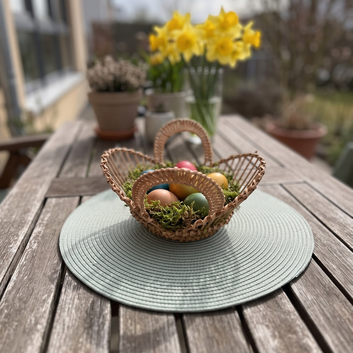 Small handwoven willow Easter basket bowl with handles holding dyed eggs on moss, on a garden table with daffodils