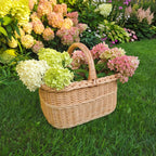 Willow basket with handle overflowing with cut hydrangea flowers on a lawn in a blooming garden