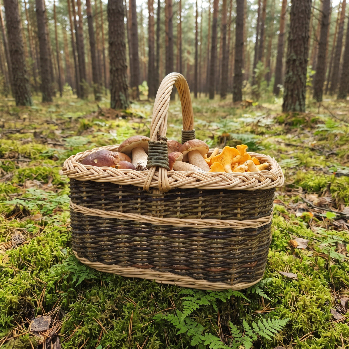 Rectangular wicker basket with handle holding porcini and chanterelle mushrooms on mossy forest ground among ferns