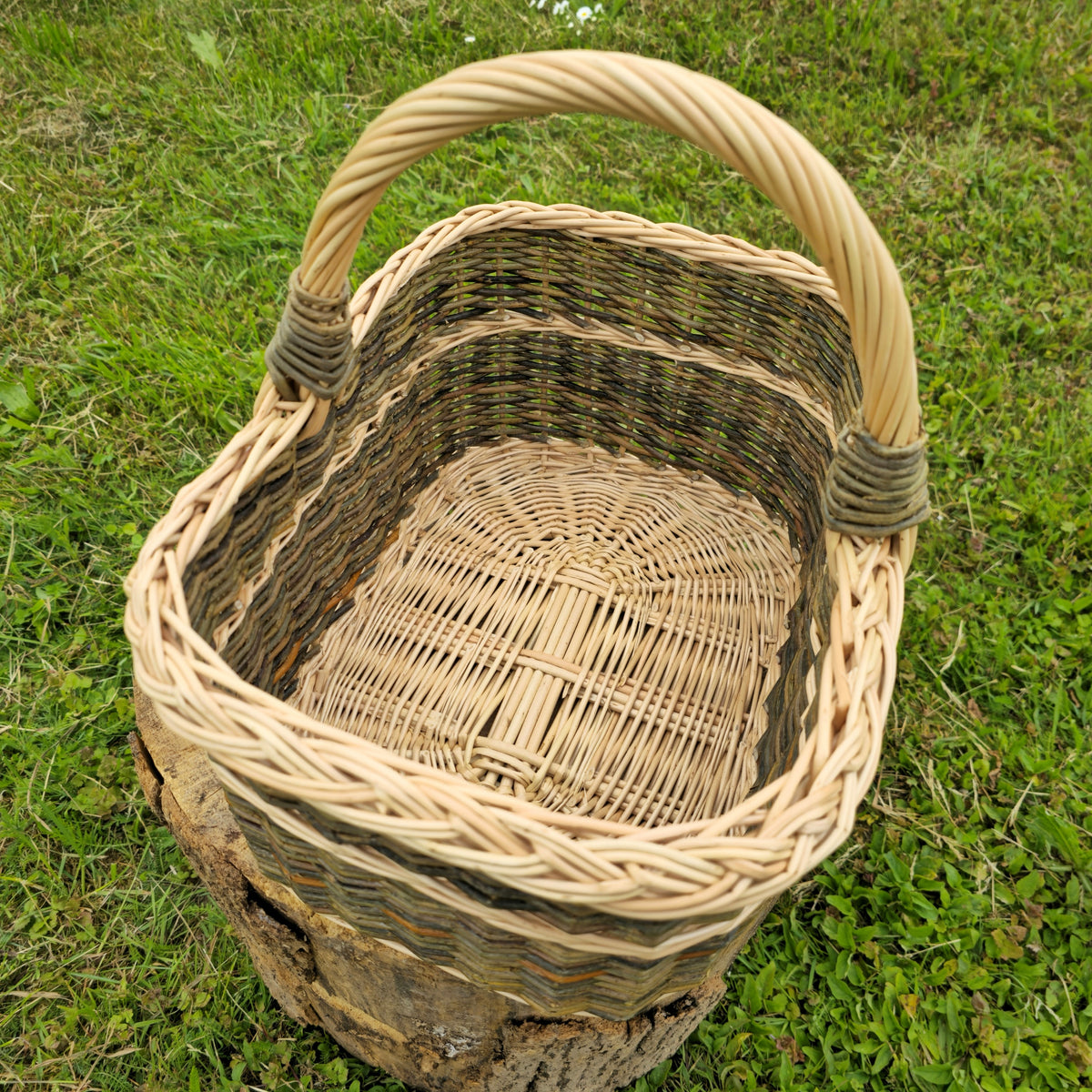 Top view inside the empty rectangular wicker market basket with arched handle, showing the woven flat base and braided rim on a stump