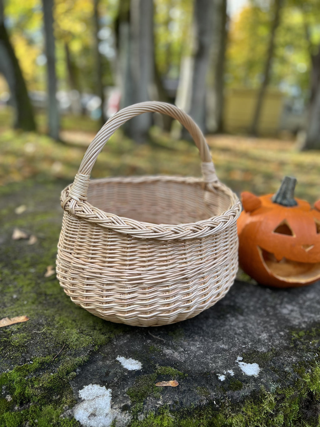Empty round handwoven basket with braided rim and arched handle next to a jack-o-lantern on a mossy rock