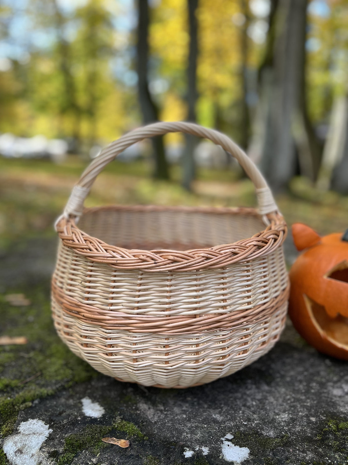 Round handwoven egg gathering basket with arched handle on a mossy rock beside a carved pumpkin