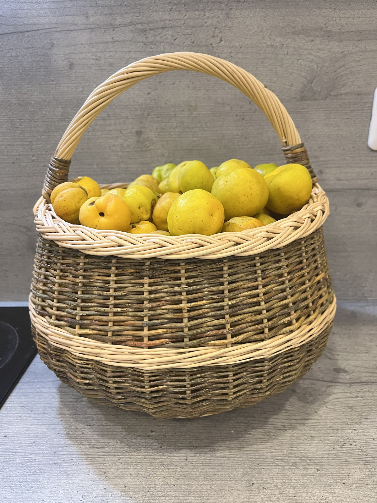 Round wicker foraging basket heaped with freshly picked quinces on a kitchen worktop, showing how much the basket holds