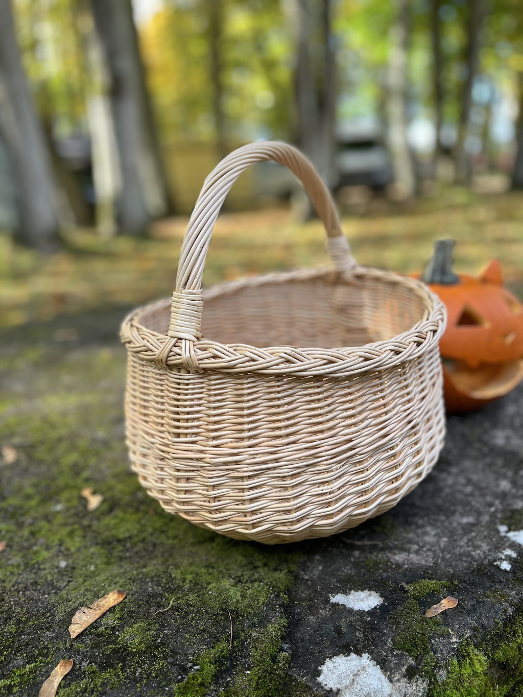 Round willow foraging basket with handle on a moss-covered stone in a park with a carved pumpkin behind