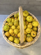 Top view of the round handwoven willow basket brimming with small quinces, the twisted handle arching across the middle
