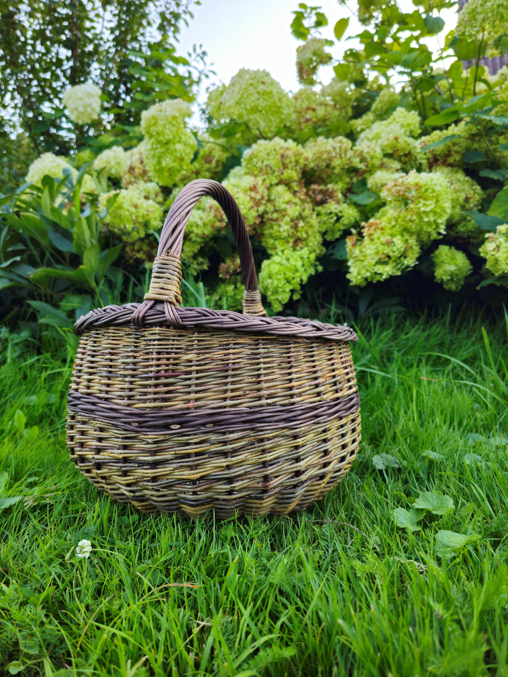 Round willow foraging basket with a woven band circling the centre and an arched handle, standing on grass in front of hydrangeas