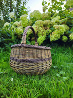 Round willow foraging basket with a woven band circling the centre and an arched handle, standing on grass in front of hydrangeas