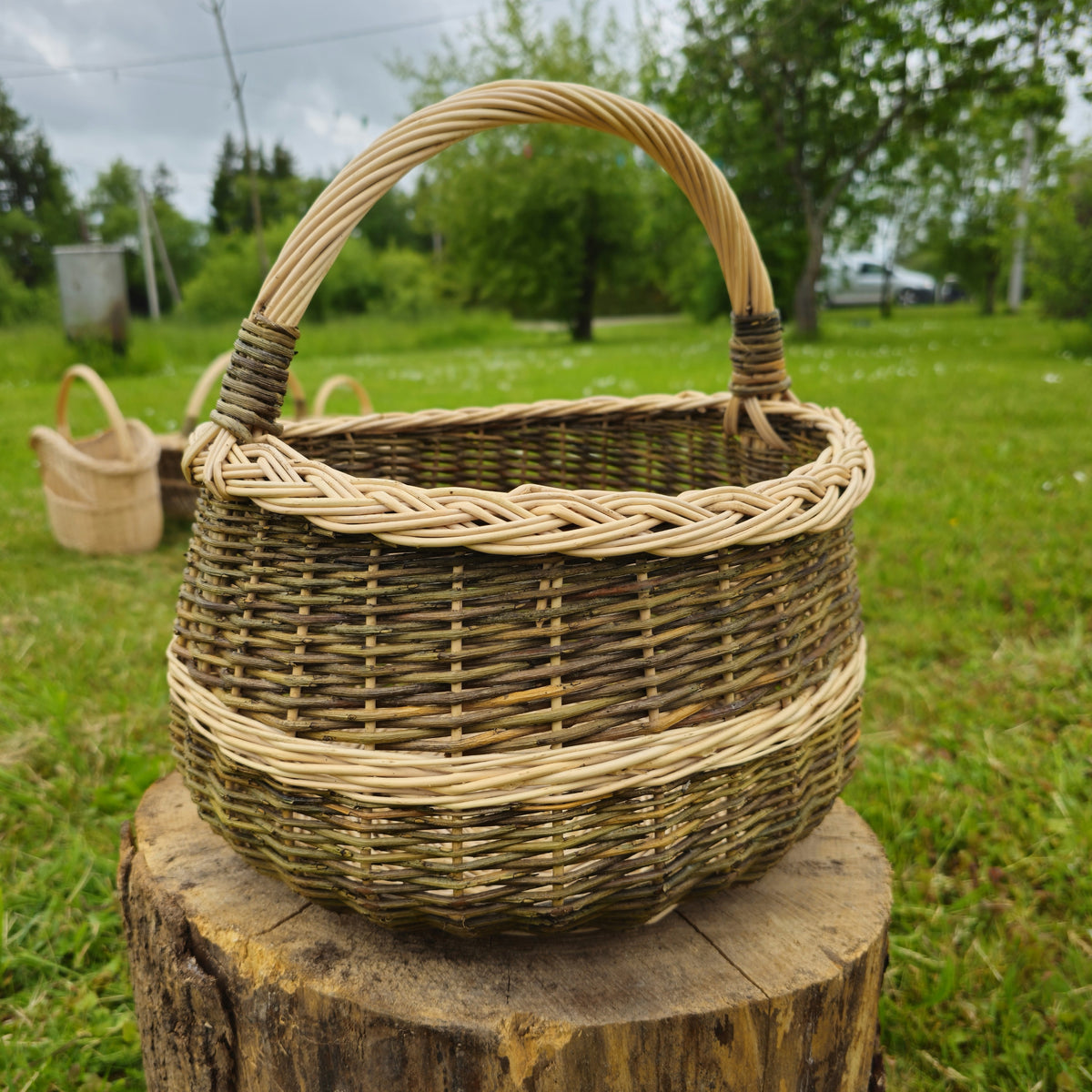 Round handwoven willow foraging basket with a braided rim and arched handle, standing empty on a tree stump in a green garden