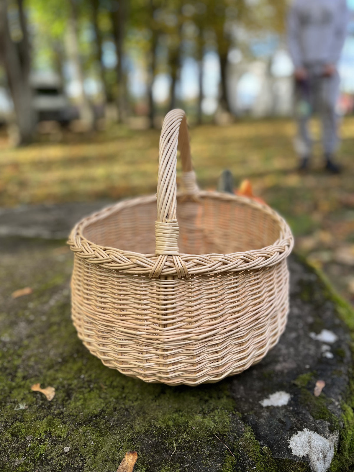 Empty round willow basket with braided rim and handle resting on a mossy stone in an autumn garden