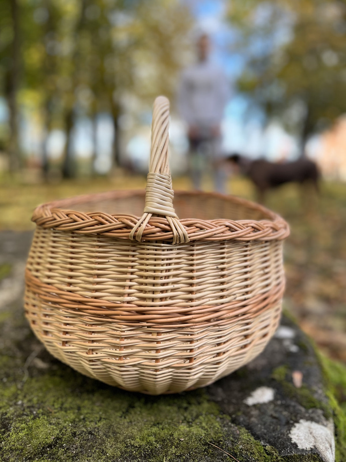 Empty round wicker basket with braided rim and handle on a mossy rock in an autumn park