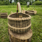 Round willow gathering basket with a braided rim and a woven band near the base, on a tree stump with other wicker baskets behind