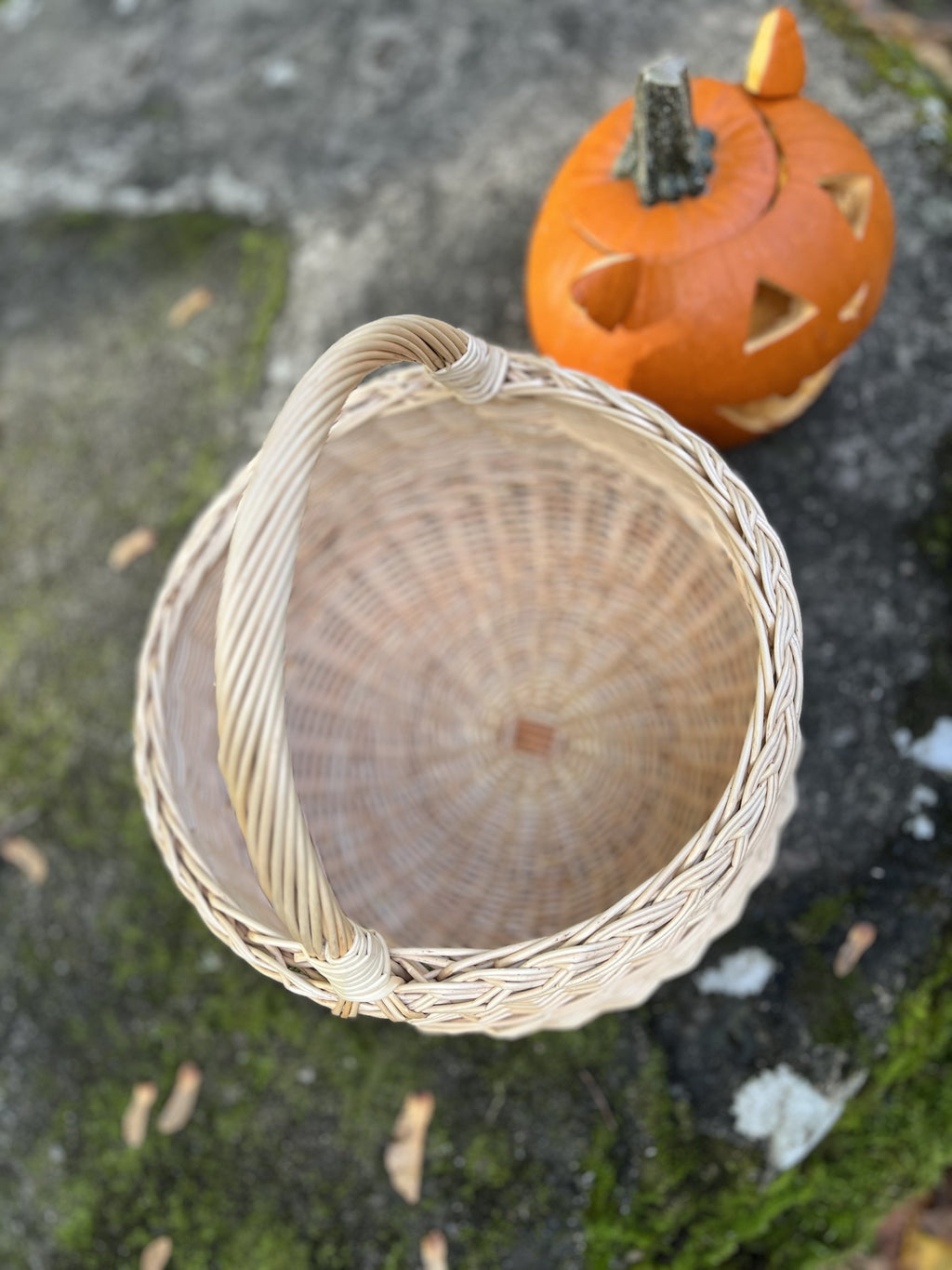 Top view into the round wicker basket showing the woven base and handle next to a carved pumpkin on a mossy rock