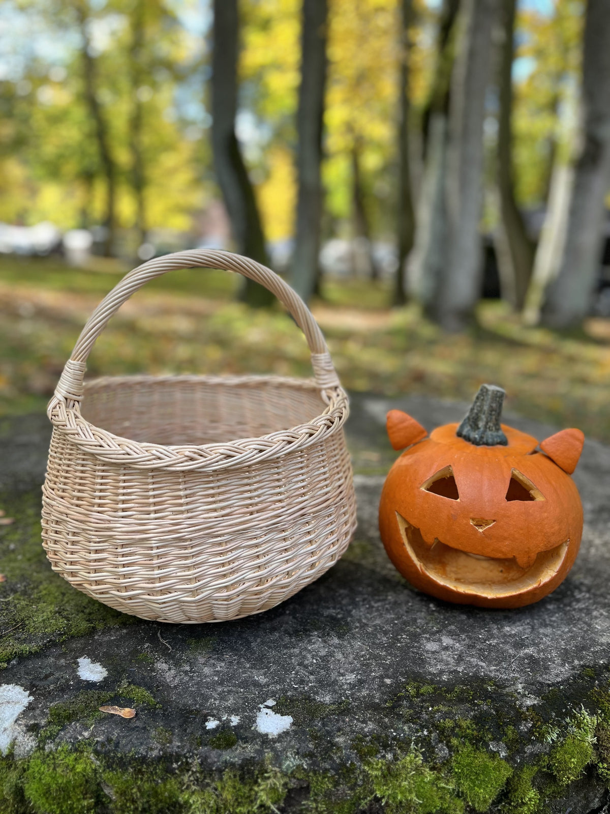 Small round handwoven basket with handle beside a carved jack-o-lantern on a mossy stone in an autumn park