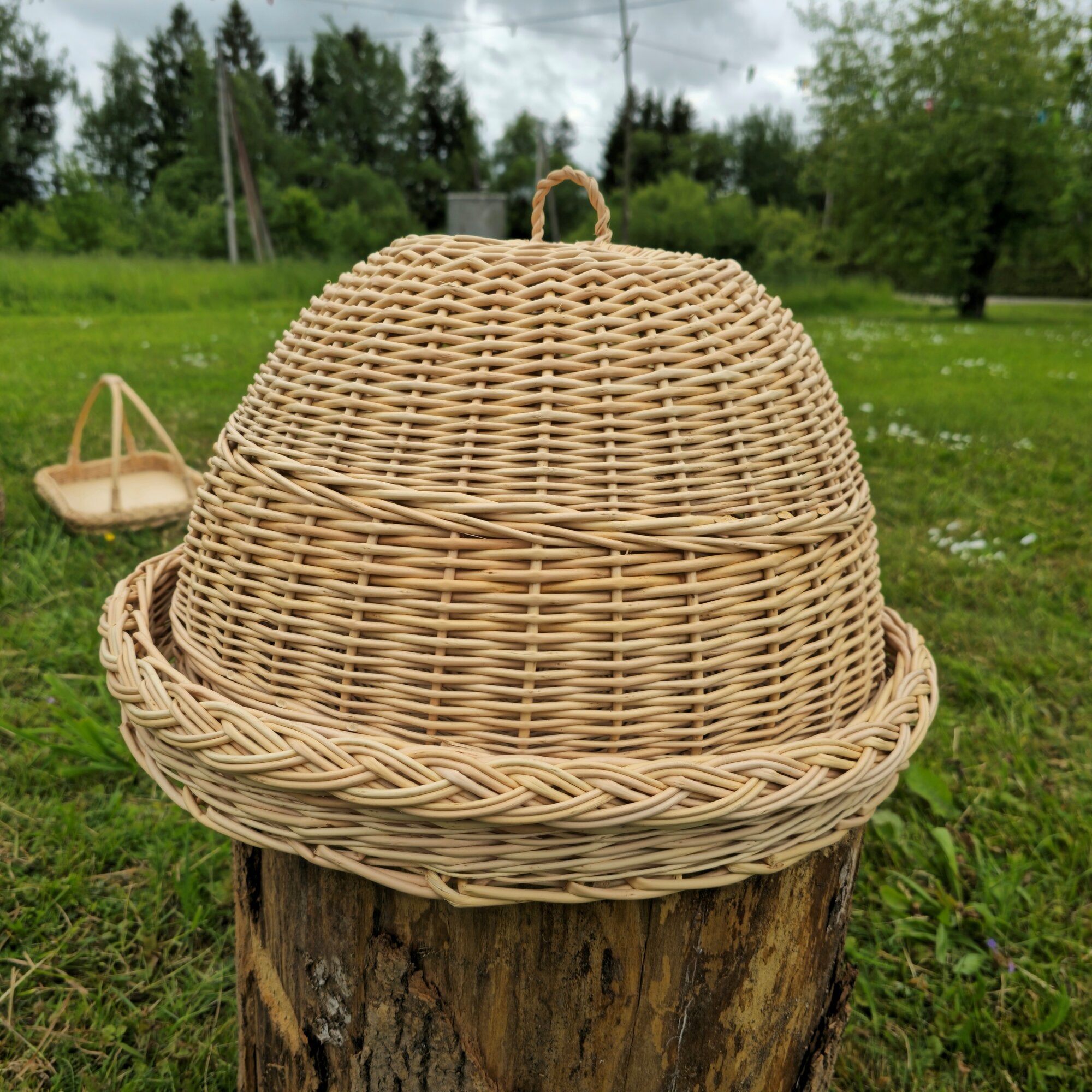 Wicker Food Cover with Tray