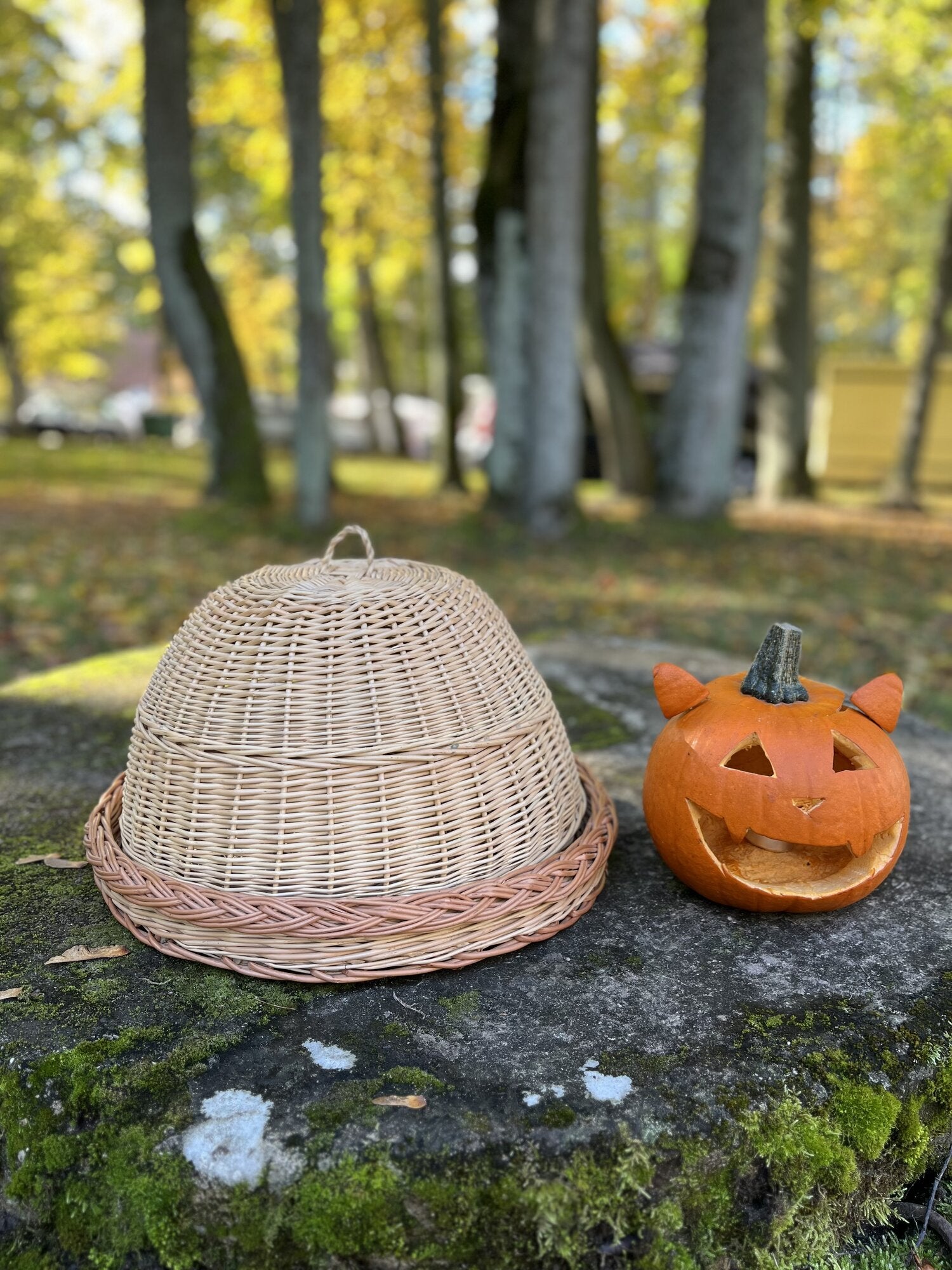 Wicker Food Cover with Tray