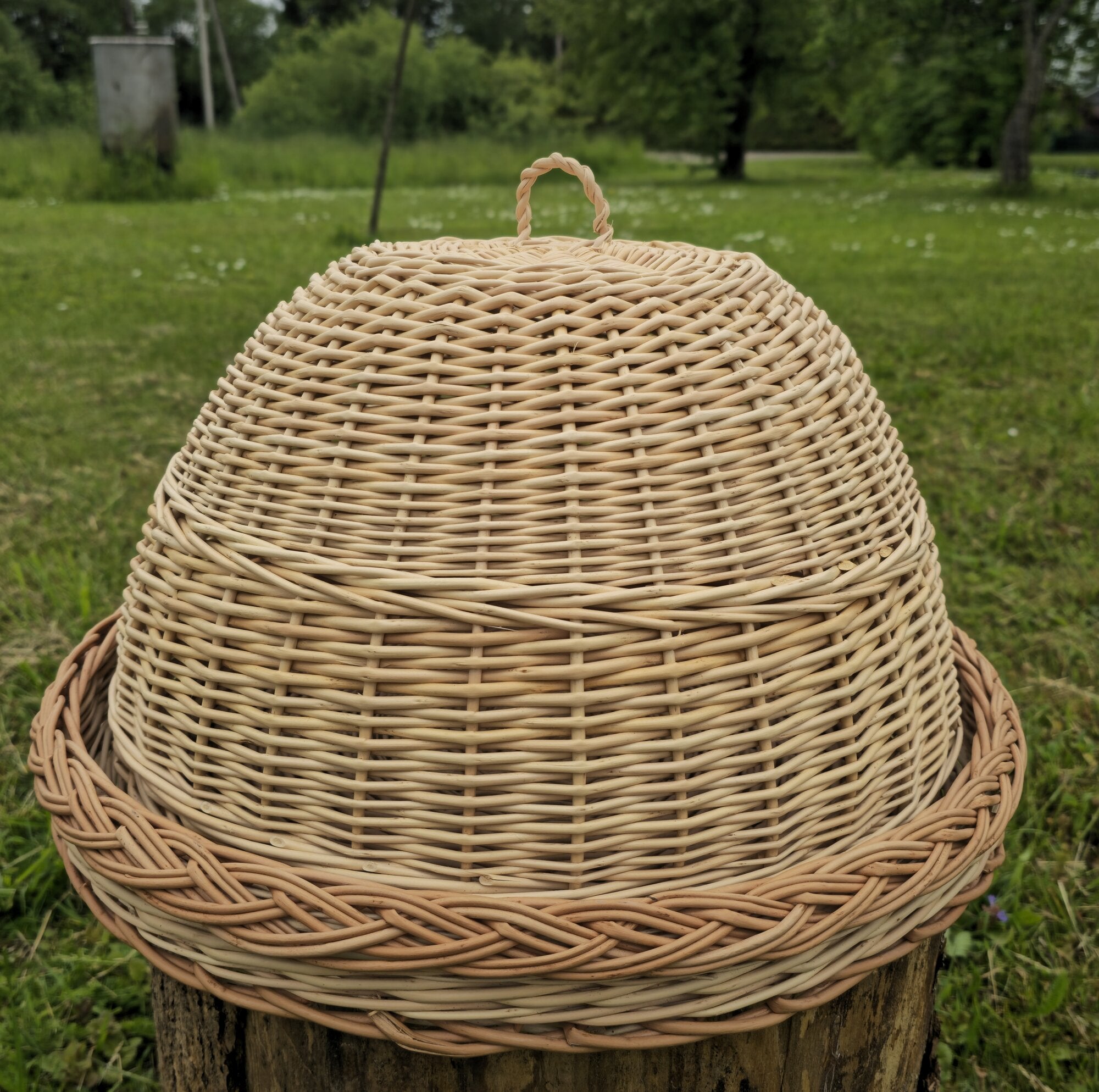 Wicker Food Cover with Tray