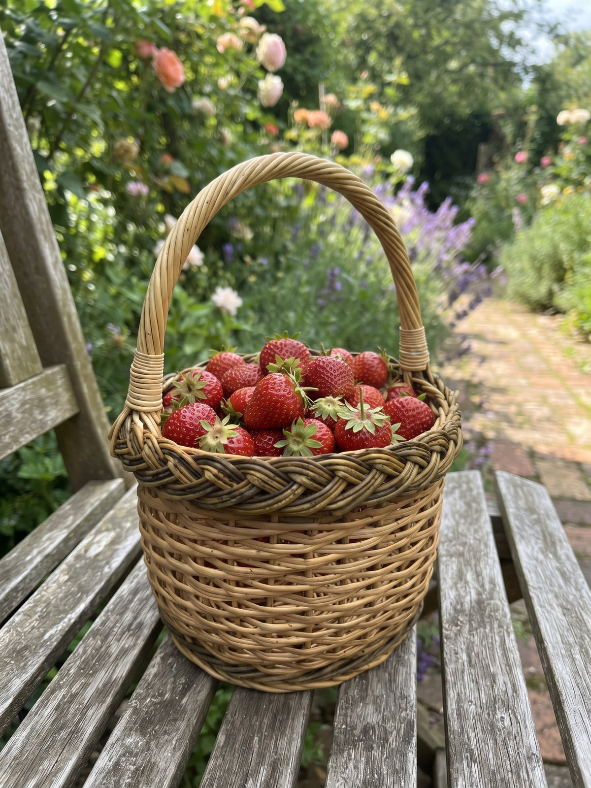 Small willow berry basket filled with fresh strawberries on a weathered garden bench beside a flowering cottage garden path.