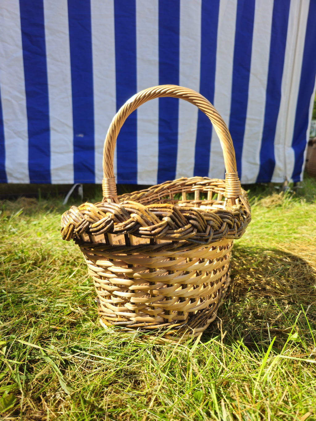 Small oval willow basket with a sturdy arched handle and braided rim photographed on the grass in bright sunlight.
