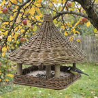 Handwoven willow bird table with a peaked roof hanging from an apple tree branch in autumn, a great tit perched on the square seed tray.