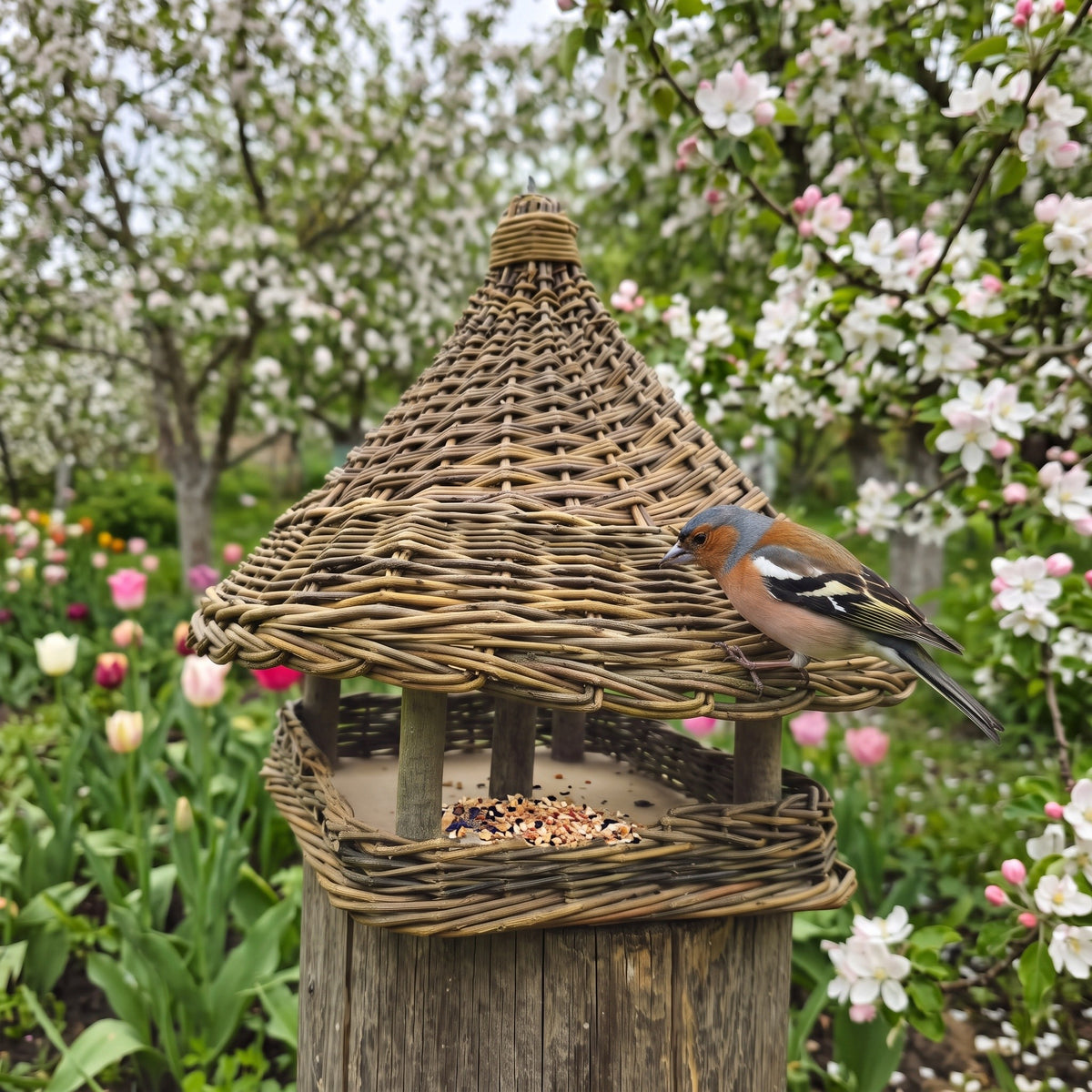 Willow bird feeder with a peaked roof on a wooden post in a blossoming spring orchard with tulips, a chaffinch perched at the seed tray.