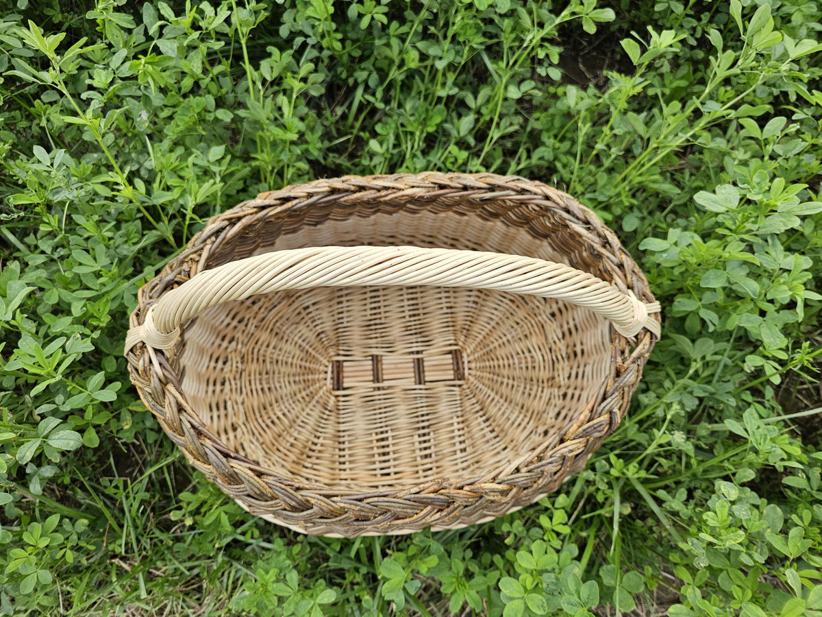 Top-down view of the willow gathering basket on clover, showing the flat woven base, the sides and the twisted handle above the braided rim.