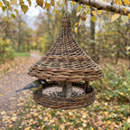 Round wicker bird feeder hanging from a branch over a leaf-covered autumn path, a great tit landing on the seed tray under the woven roof.