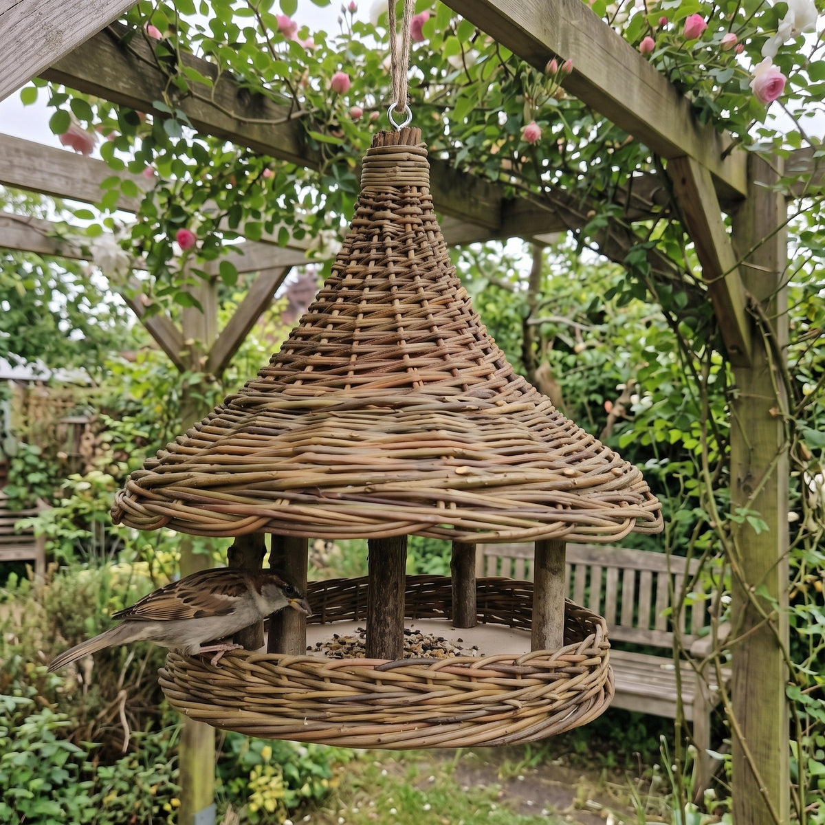 Willow bird feeder hanging from a rose-covered wooden pergola, a sparrow feeding on the seed tray beneath the wide cone-shaped roof.