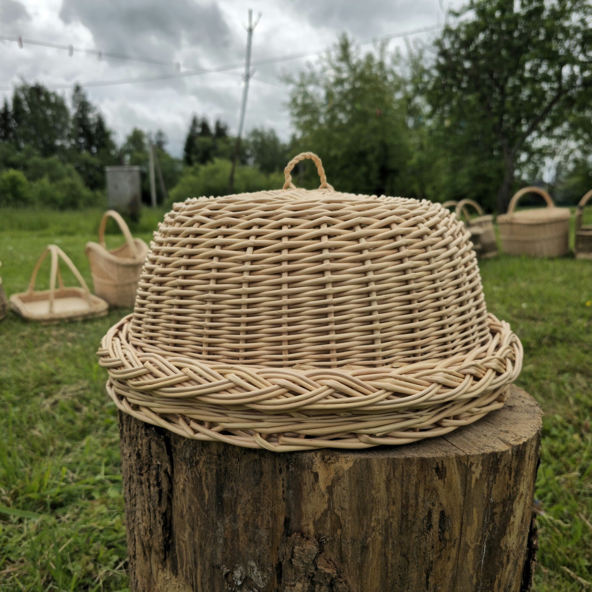 Wicker Food Cloche with Round Tray