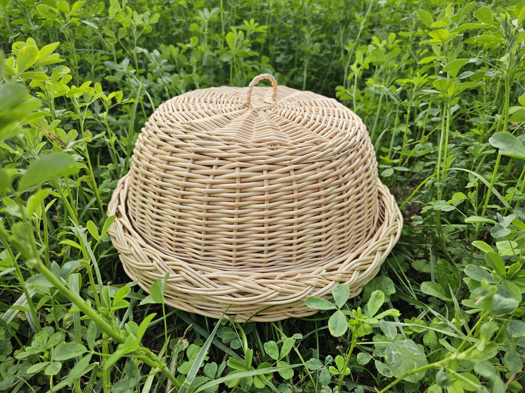 Handmade willow bread dome on its matching tray in tall green grass, showing the braided tray rim and the small top handle