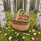 Wicker mushroom foraging basket with tall handle holding porcini among birch trees, with a wooden-handled knife on the moss