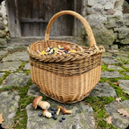 Wicker foraging basket with tall handle filled with wild mushrooms and blueberries on mossy forest ground
