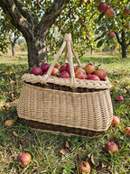 Two-handled wicker garden basket full of red apples on the grass under an apple tree in an autumn orchard.