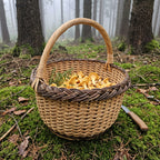 Round wicker willow foraging basket with a braided rim full of chanterelle mushrooms on moss in a misty forest, with a knife beside it