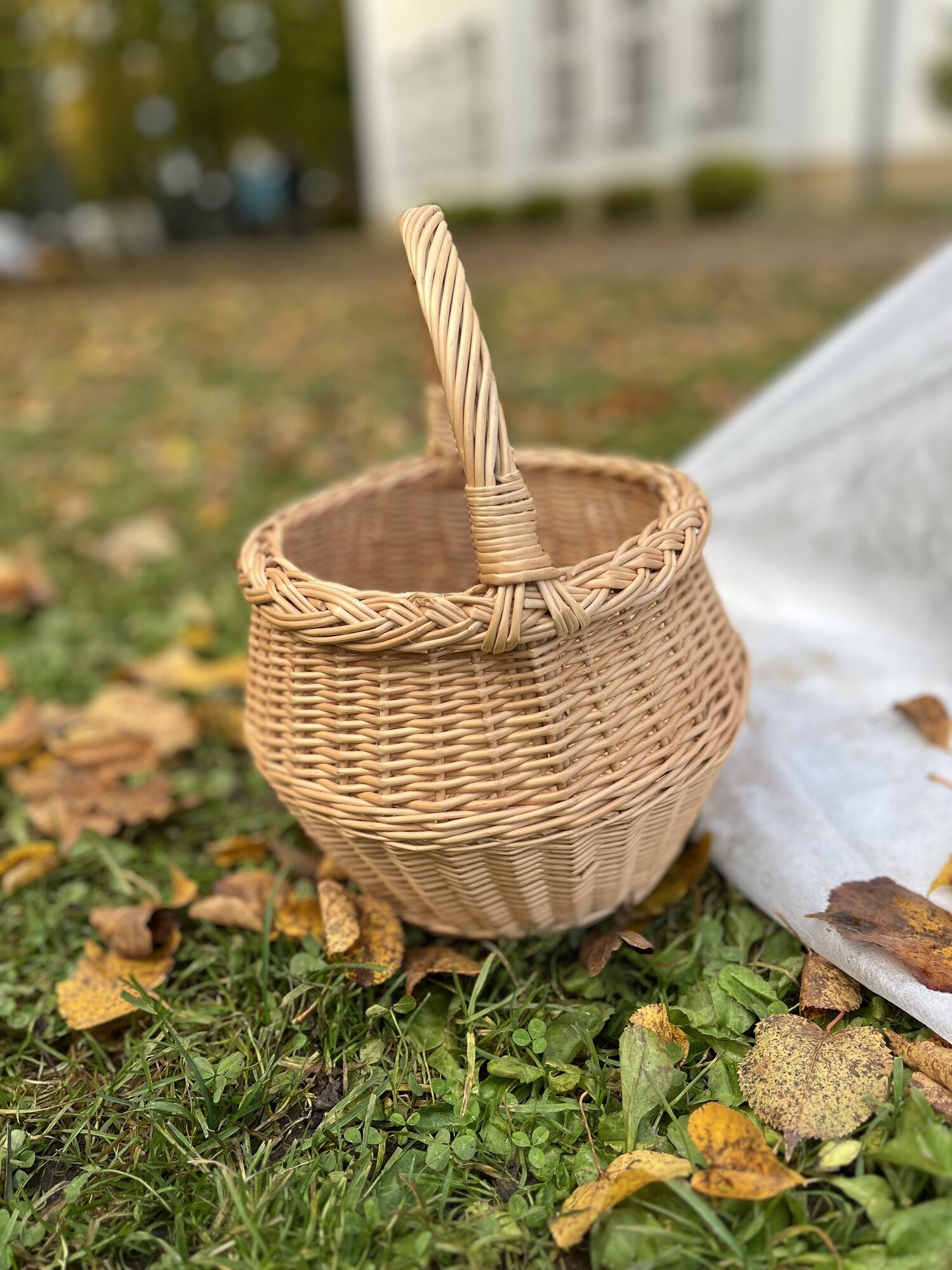 Small Wicker Flower Basket with Handle