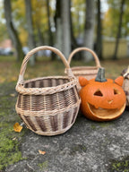 Small Wicker Flower Basket with Handle