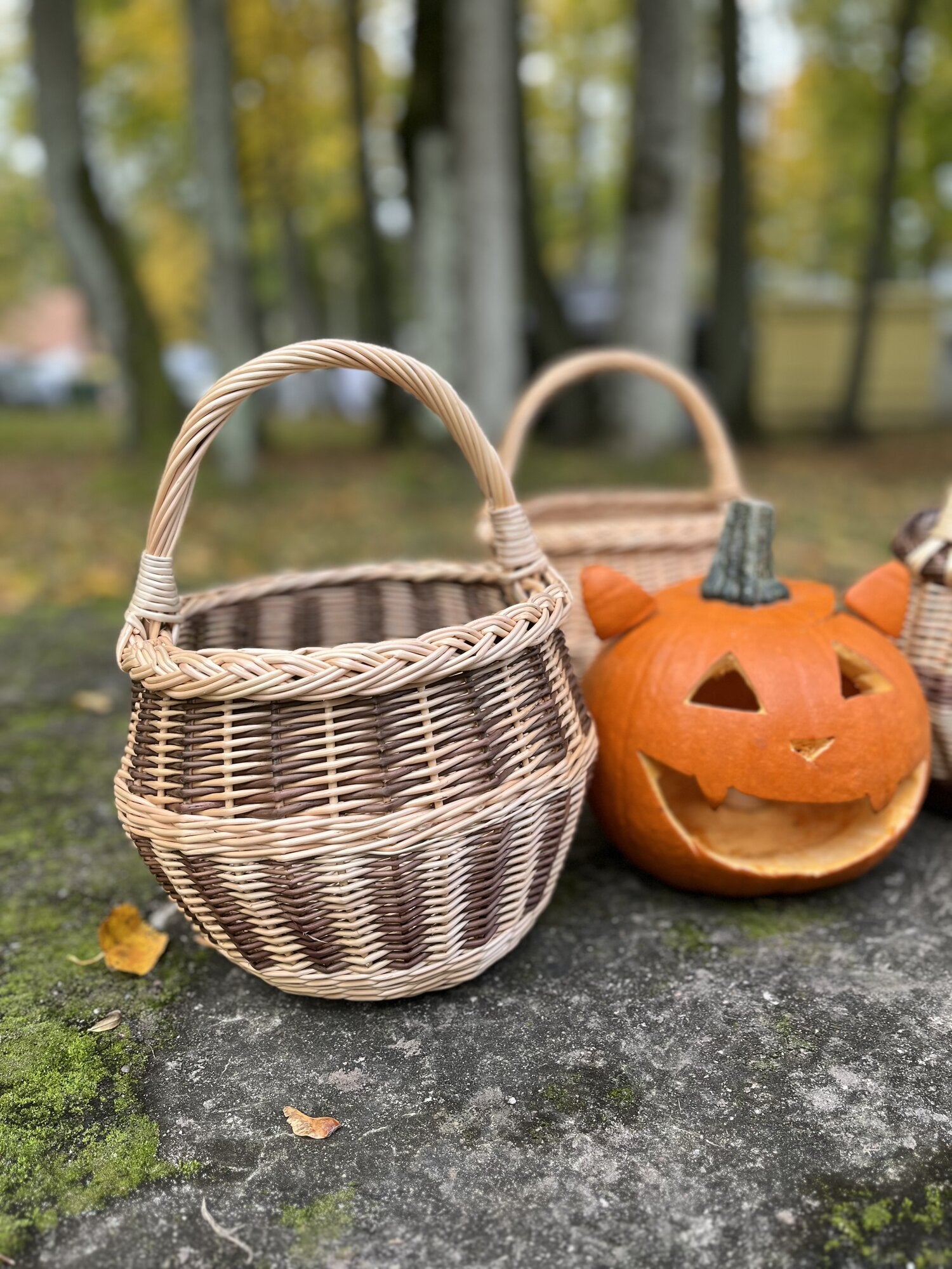 Small Wicker Flower Basket with Handle