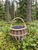 Small handwoven willow basket with handle filled with fresh blueberries, standing on moss in a pine forest