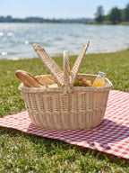 Small double-lid picnic hamper woven from willow, filled with bread, grapes and juice on a checked blanket on the grass beside a lake.