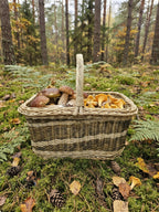 Handwoven rectangular willow basket with a tall handle filled with chanterelles and boletus mushrooms on moss in a pine forest