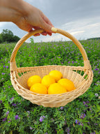 Wicker Garden Trug with Handle