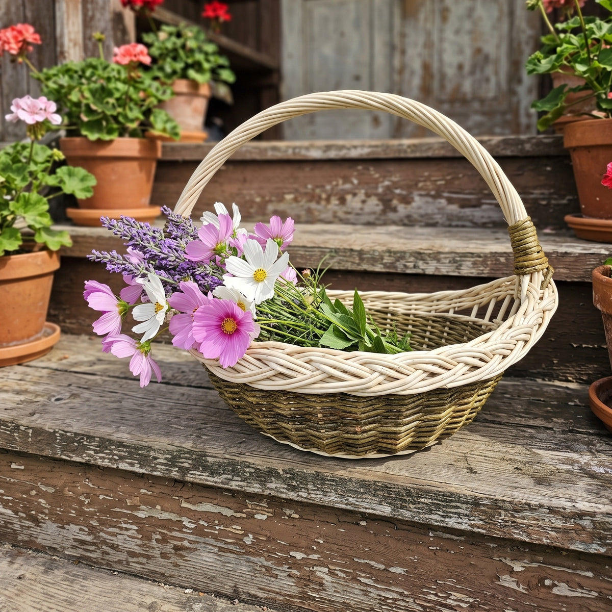 Wicker garden trug with handle holding cosmos, lavender and wildflowers on old wooden steps among potted geraniums